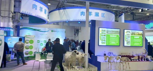 第八届内蒙古绿色农畜产品博览会暨优良品种推广会 创新服务模式，擘画绿色发展新蓝图